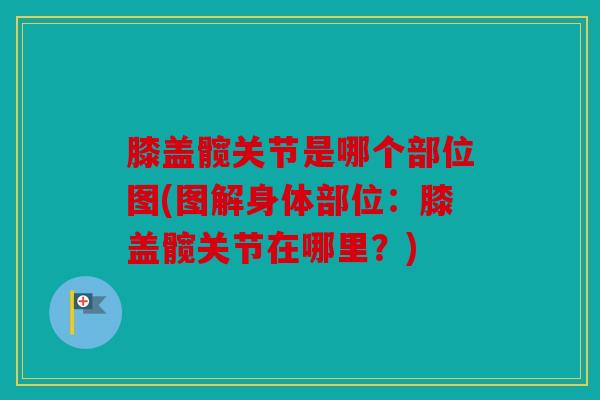 膝盖髋关节是哪个部位图(图解身体部位:膝盖髋关节在哪里?) 膝盖髋关节是哪个部位图(图解身体部位:膝盖髋关节在哪里?)
