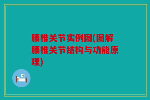 腰椎关节实例图(图解腰椎关节结构与功能原理)