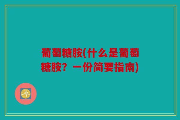 葡萄糖胺(什么是葡萄糖胺？一份简要指南)