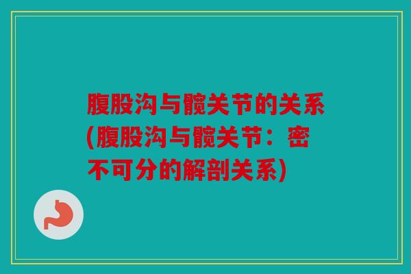 腹股沟与髋关节的关系(腹股沟与髋关节：密不可分的解剖关系)