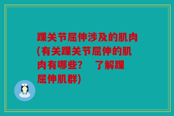 踝关节屈伸涉及的肌肉(有关踝关节屈伸的肌肉有哪些? 了解踝屈伸肌群) 踝关节屈伸涉及的肌肉(有关踝关节屈伸的肌肉有哪些? 了解踝屈伸肌群)