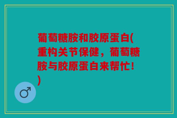 葡萄糖胺和胶原蛋白(重构关节保健,葡萄糖胺与胶原蛋白来帮忙!) 葡萄糖胺和胶原蛋白(重构关节保健,葡萄糖胺与胶原蛋白来帮忙!)