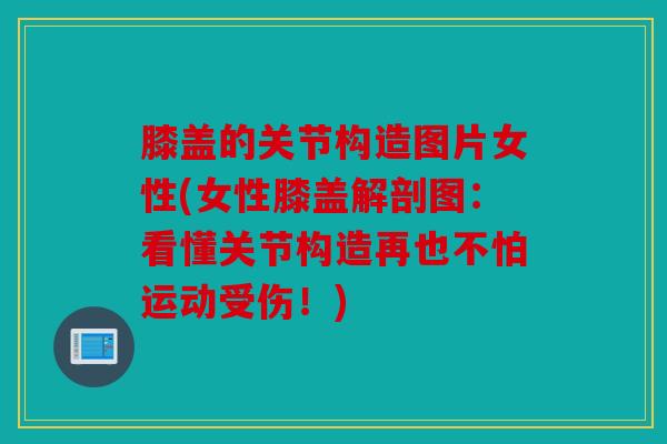 膝盖的关节构造图片女性(女性膝盖解剖图:看懂关节构造再也不怕运动受伤!) 膝盖的关节构造图片女性(女性膝盖解剖图:看懂关节构造再也不怕运动受伤!)