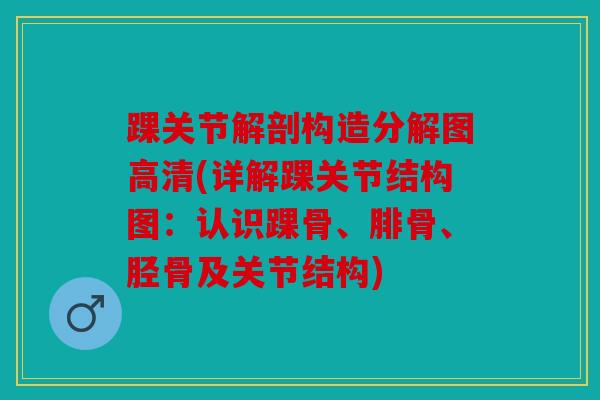 踝关节解剖构造分解图高清(详解踝关节结构图:认识踝骨、腓骨、胫骨及关节结构) 踝关节解剖构造分解图高清(详解踝关节结构图:认识踝骨、腓骨、胫骨及关节结构)
