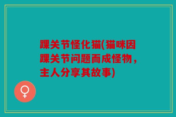 踝关节怪化猫(猫咪因踝关节问题而成怪物，主人分享其故事)