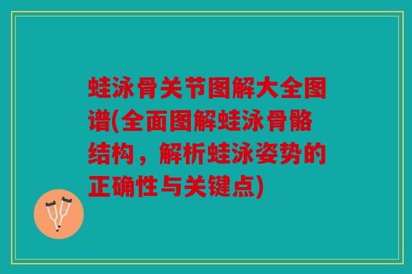 蛙泳骨关节图解大全图谱(全面图解蛙泳骨骼结构，解析蛙泳姿势的正确性与关键点)