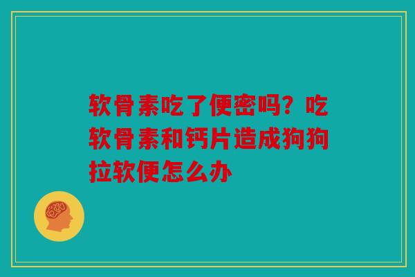 软骨素吃了便密吗?吃软骨素和钙片造成狗狗拉软便怎么办 软骨素吃了便密吗?吃软骨素和钙片造成狗狗拉软便怎么办