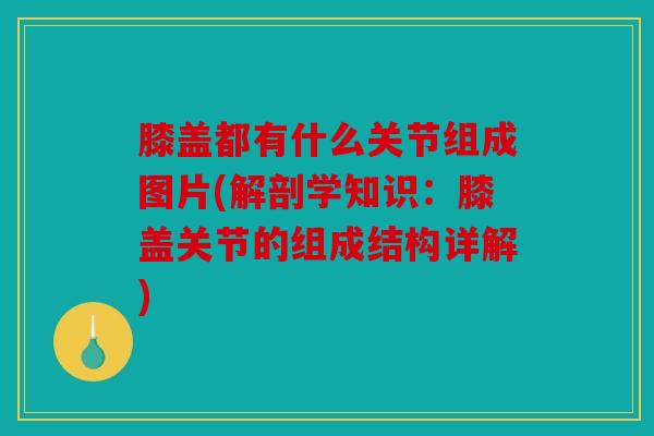 膝盖都有什么关节组成图片(解剖学知识:膝盖关节的组成结构详解) 膝盖都有什么关节组成图片(解剖学知识:膝盖关节的组成结构详解)