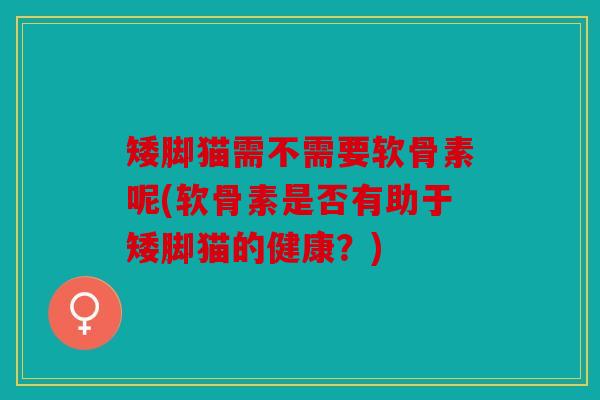 矮脚猫需不需要软骨素呢(软骨素是否有助于矮脚猫的健康?) 矮脚猫需不需要软骨素呢(软骨素是否有助于矮脚猫的健康?)
