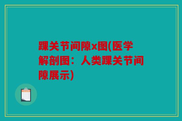 踝关节间隙x图(医学解剖图：人类踝关节间隙展示)