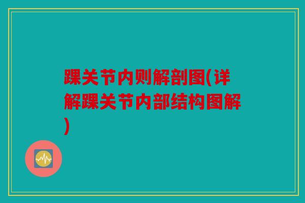 踝关节内则解剖图(详解踝关节内部结构图解) 踝关节内则解剖图(详解踝关节内部结构图解)
