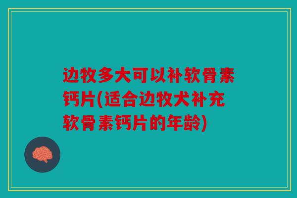 边牧多大可以补软骨素钙片(适合边牧犬补充软骨素钙片的年龄)