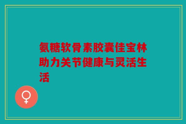 氨糖软骨素胶囊佳宝林助力关节健康与灵活生活 氨糖软骨素胶囊佳宝林助力关节健康与灵活生活