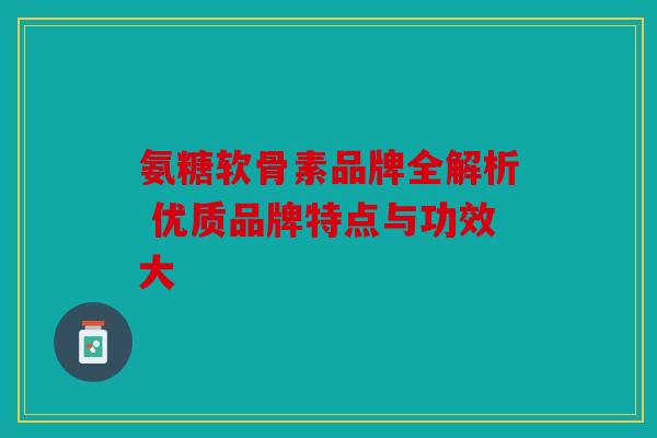氨糖软骨素品牌全解析 优质品牌特点与功效大 氨糖软骨素品牌全解析 优质品牌特点与功效大