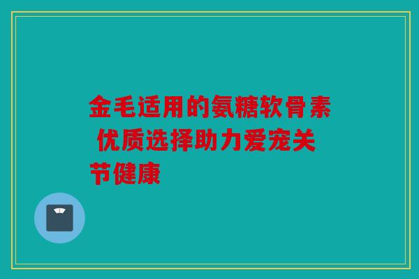 金毛适用的氨糖软骨素 优质选择助力爱宠关节健康