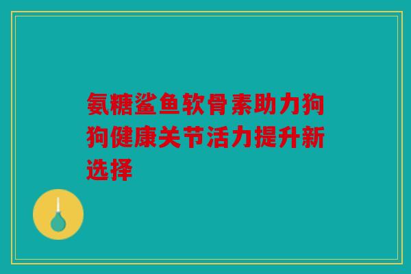 氨糖鲨鱼软骨素助力狗狗健康关节活力提升新选择 氨糖鲨鱼软骨素助力狗狗健康关节活力提升新选择