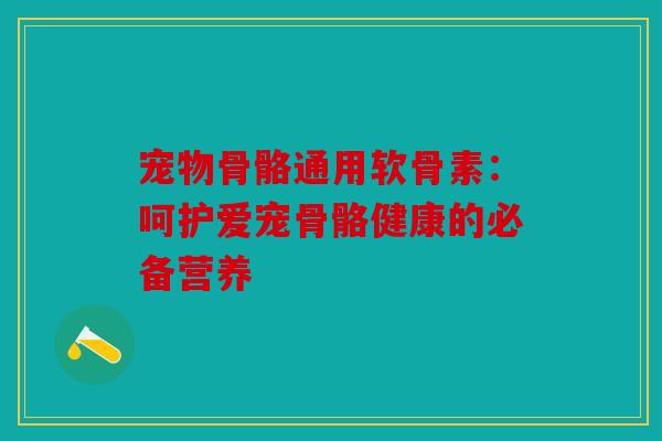 宠物骨骼通用软骨素:呵护爱宠骨骼健康的必备营养 宠物骨骼通用软骨素:呵护爱宠骨骼健康的必备营养