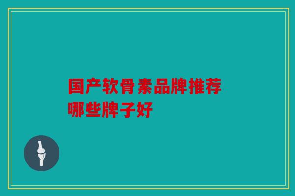 国产软骨素品牌推荐 哪些牌子好
