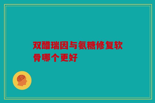 双醋瑞因与氨糖修复软骨哪个更好