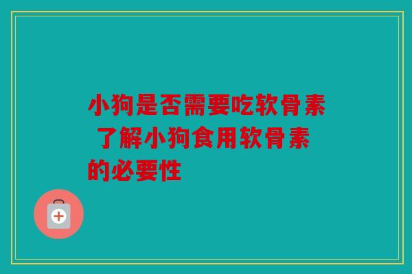 小狗是否需要吃软骨素 了解小狗食用软骨素的必要性