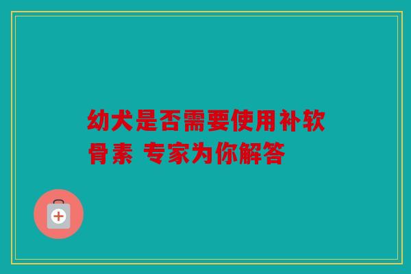 幼犬是否需要使用补软骨素 专家为你解答