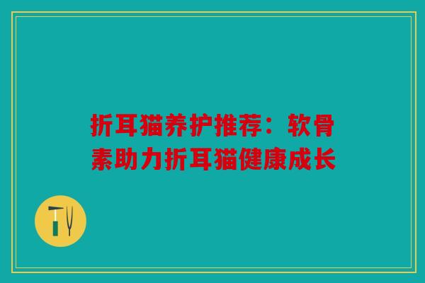 折耳猫养护推荐:软骨素助力折耳猫健康成长 折耳猫养护推荐:软骨素助力折耳猫健康成长