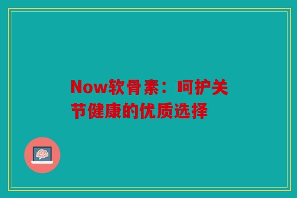 Now软骨素:呵护关节健康的优质选择 Now软骨素:呵护关节健康的优质选择