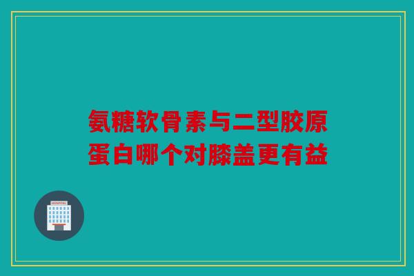 氨糖软骨素与二型胶原蛋白哪个对膝盖更有益