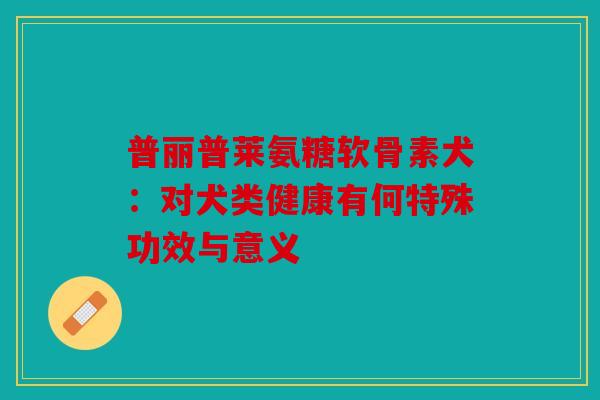 普丽普莱氨糖软骨素犬:对犬类健康有何特殊功效与意义 普丽普莱氨糖软骨素犬:对犬类健康有何特殊功效与意义