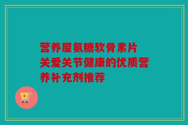 营养屋氨糖软骨素片 关爱关节健康的优质营养补充剂推荐